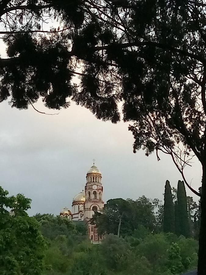 Гостиница Лебедь New Athos Esterno foto